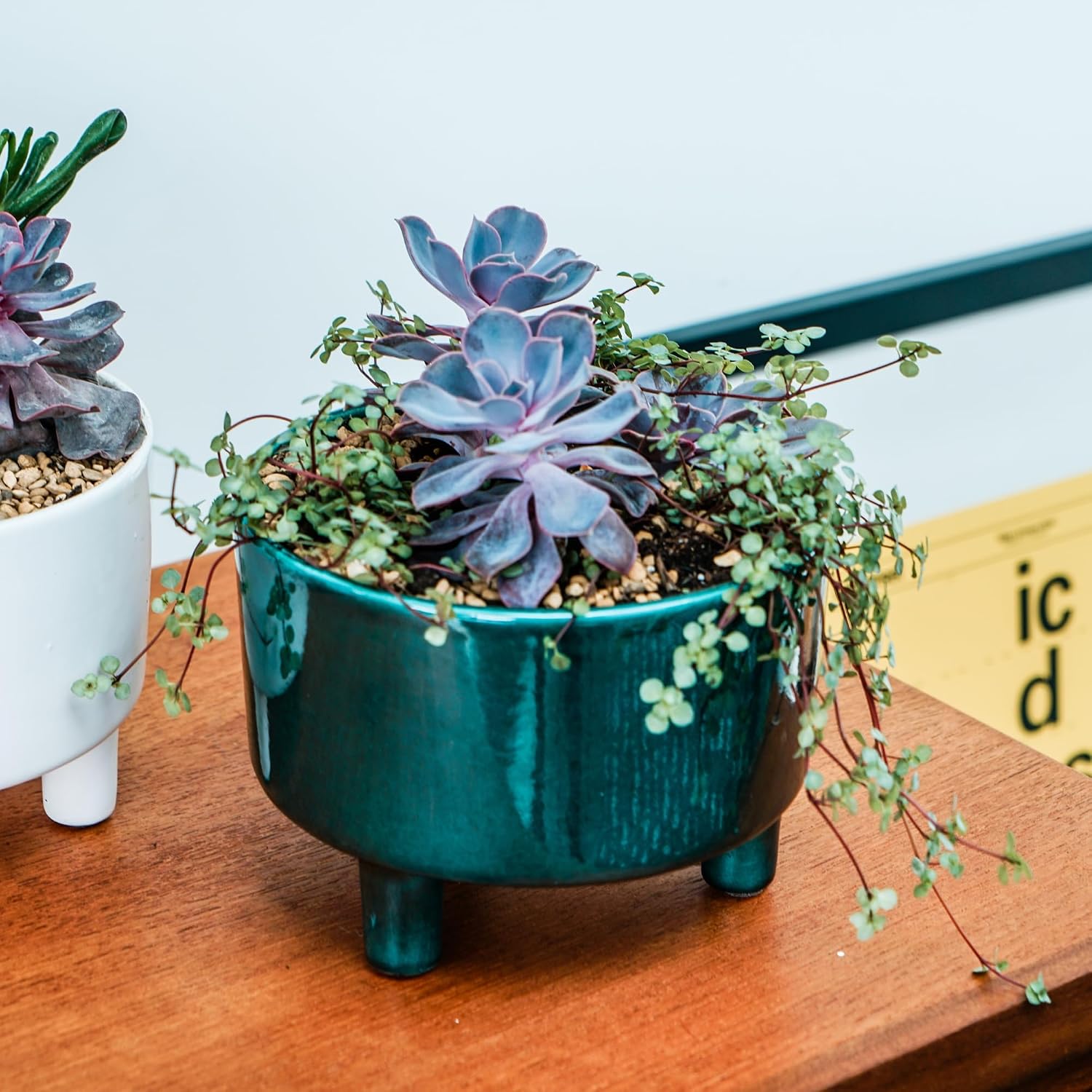 Pisa Emerald Glaze Ceramic Planter