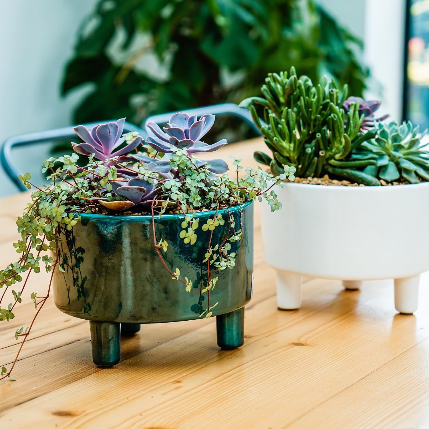 Pisa Emerald Glaze Ceramic Planter